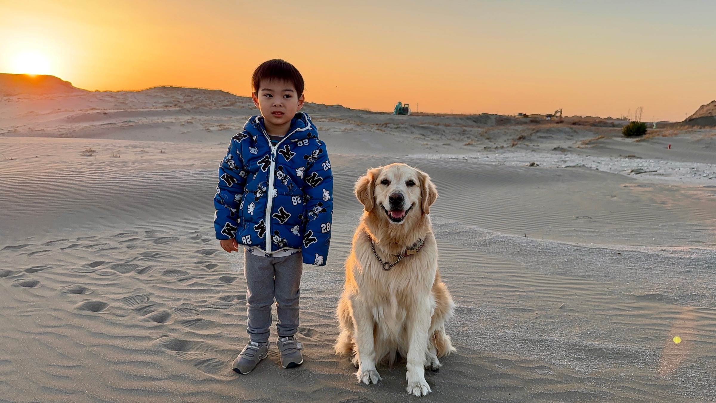 九十九里ドッグコテージ】大型犬OK｜天然芝ドッグラン付き貸別荘 D-99